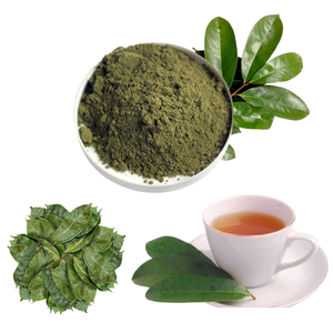 Organic Fermented Dried Soursop Leaves Black <b>Tea</b> Vietnam Health <b>Tea</b> Non Sugar Grade a 25 <b>Tea</b> Bags <b>Box</b> EXPAD Binh Phuoc - Product Image 6