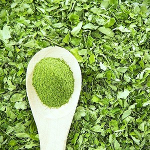 Poudre de feuilles de Moringa de haute qualité pour applications alimentaires commerciales, poudre végétale naturelle pour la distribution et l'emballage en gros - Product Image 5