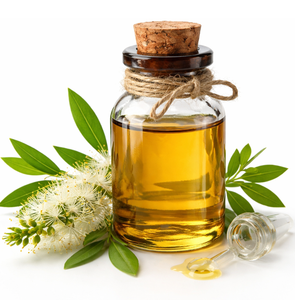 Huile Essentielle de Niaouli de Qualité Supérieure en Gros pour OEM – Pure et Non Diluée (Melaleuca Viridiflora) pour l'Aromathérapie et l'Usage Cosmétique - Product Image 1