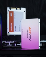 SSD High Performance MAXBY MS500 1TB 2.5" SATA III 550MB/s untuk Pembuat Sistem Distributor Grosir