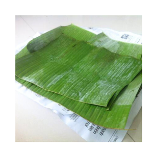 ใบตองแช่แข็งเวียดนามขายส่ง – ใบตองเกรดพรีเมียมสำหรับร้านอาหารและผู้จัดจำหน่าย - Product Image 2