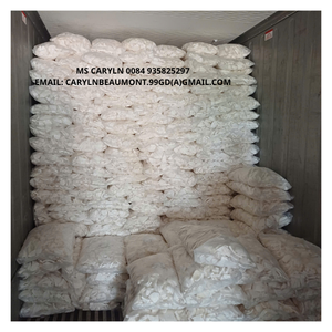 Viande de noix de coco congelée, douce et tendre, avec un arôme authentique, le meilleur choix pour les garnitures de desserts, les sauces à la noix de coco et les collations biologiques - CARYLN - Product Image 3