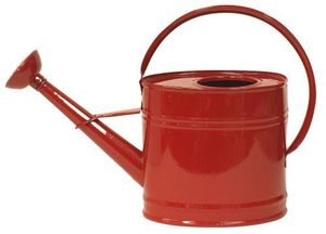 Arrosoir moderne en métal pour plantes d'intérieur avec bec long, débit d'eau précis et finition élégante - Product Image 6