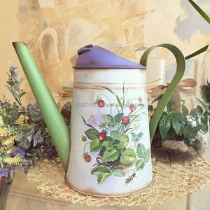 Bote de agua galvanizado con estampado de esmalte bellamente diseñado para el cuidado de plantas con estilo, decoración interior del hogar y temas rústicos - Product Image 1