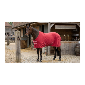 Couverture de cheval d'équitation de haute qualité, imperméable, coupe-vent, respirante, durable, fabrication OEM, couverture en polaire pour cheval - Product Image 6