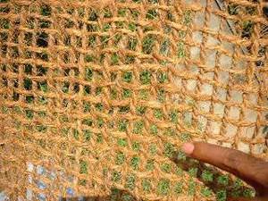 Filet en fibre de coco haute résistance pour le contrôle de l'érosion et les projets de révegetation - Product Image 3