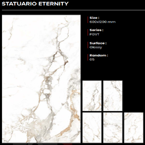 Baldosas de Porcelana Brillante de Primera Calidad Más Demandadas, 600x1200mm, Marca CLAYTON CERAMIC, Garantía de 3 Años, Hechas en Gujarat - Product Image 1