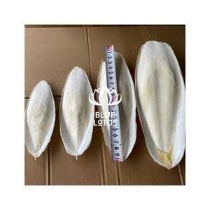 HOT SELLING BLUE LOTUS Cuttlefish Bone Dried Clean Calcium Vitamin E Source Digestive Health Immune Support Care Supplement - Product Image 1