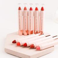 Crayon à lèvres crémeux hydratant longue tenue avec ingrédients chimiques 10 couleurs
