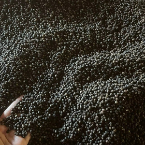 พริกไทยดำแห้งคุณภาพสูง FD แบบเม็ดเต็ม ไม่ใช่พืช GMO 550 กรัม/ลิตร แหล่งกำเนิดเวียดนาม มาตรฐานส่งออก เกรด ASTA อายุการเก็บรักษา 24 เดือน - Product Image 5