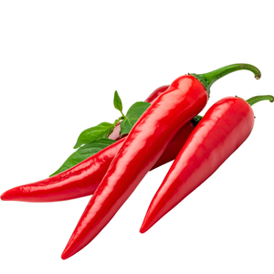 Chiles Frescos de Vietnam _ Venta al por Mayor para la Industria Alimentaria e Importadores Globales - Product Image 1