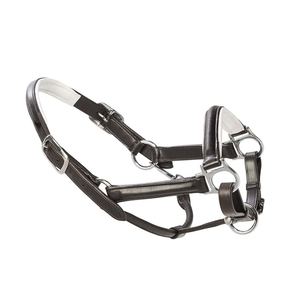 Fabricante Profesional de Cabestros y Riendas para Caballos, Equipo Ecuestre Ajustable de Alta Calidad para Montar - Product Image 6