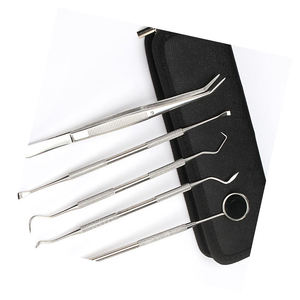 High Quality Stainless Steel Manual Dental Hygiene Tool Kit 5pcs Calculus Remover Instruments CE Certified By Grip Surgical - Product Image 1