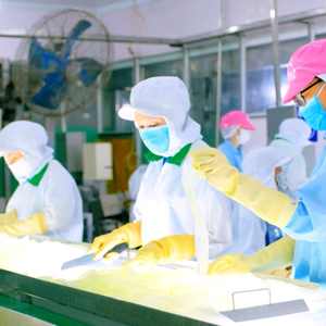 Puré de Aloe Vera de 500 ml, Sabor Maracuyá, NFC - Botella de PET, Fabricación de Marca Privada OEM/ODM, Venta al por Mayor, 24 Meses de Vida Útil - Product Image 6