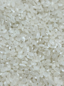 ข้าวญี่ปุ่นแห้งแบบสั่งบรรจุได้ ข้าวสั้นเมล็ดเล็ก คุณภาพพรีเมียมสำหรับซูชิ ความเหนียวสูง ปลอดจีเอ็มโอ ข้าวขาวเมล็ดกลม ขายส่งจากโรงงาน ปริมาณมาก - Product Image 4