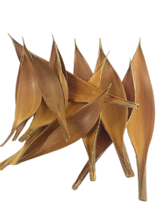 ADVAITH BOAT 1 Coco Plato de Comida en Forma de Barco Botánico Natural, Decoración Única para el Hogar, Soporte para Plantas, Portavelas, Cuenco para Flores Secas - Product Image 1
