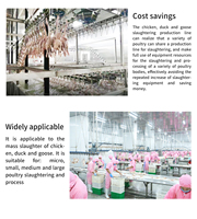 Conteneur mobile d'abattoir de poulets