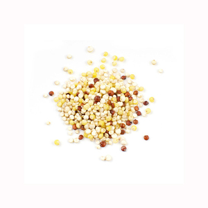 Wholesale Bulk Fresh White Quinoa Rich Premium Quality Stock For Large Volume B2B Trade Orders - Product Image 5