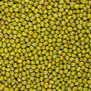 Mejor Opción: Frijoles Mung Verdes de Grado Premium, Orgánicos, Secos, Limpios a Máquina, 100% Puros, Exportador de Austria - Product Image 1