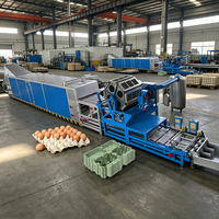 Machine entièrement automatique de fabrication de barquettes à œufs en papier recyclé pour élevages avicoles, moule 30 alvéoles