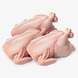 Poulet entier halal surgelé de qualité supérieure, emballage en boîte, vitamines incluses, vente en gros disponible à prix de gros - Product Image 6