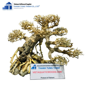 ไม้ตกแต่งตู้ปลาสแตนเลสทรงไม่สม่ำเสมอ ยี่ห้อ Vietaquaticwood สำหรับตกแต่งตู้ปลาและเลี้ยงหอยทาก ทนทาน - Product Image 1