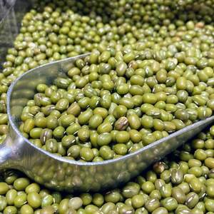 Haricot Mung Vert Frais en Gros, Meilleure Vente, Nouvelle Récolte, 25kg en Vrac, Saveur Délicieuse, Haricot Mung Entier Disponible à Prix Abordable - Product Image 1