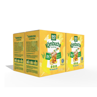 Usine En Gros Gingembre Kombucha Boisson Digestive Thé En Poudre 10gr par Sachet Produits En Gros En Vrac