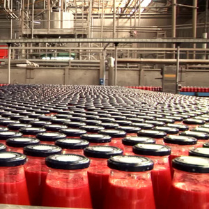 Chất Lượng Hàng Đầu 100% Cà Chua Ý Xay Nhuyễn Trong Chai Thủy Tinh 12X690G Chế Biến Hấp Để Xuất Khẩu - Product Image 4