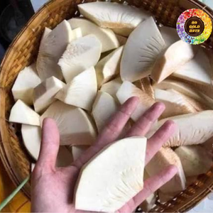Cubos de Fruta del Pan 100% Pura Congelados IQF, Grado de Exportación, Envasados al Vacío, 24 Meses de Vida Útil, para Cocina Tradicional Caribeña y Africana - Product Image 5