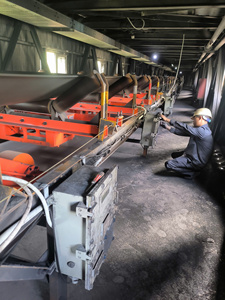 Sistema de Báscula de Banda Transportadora a Prueba de Explosiones, 506 × 386 × 192 mm para Pesaje Preciso de Materiales Industriales - Product Image 3