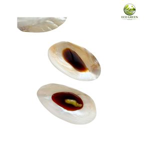 Plato de Concha de Nácar Dorado Natural, Rebanadas Ovaladas Pulidas a Granel, Ecológico, Moderno, para Bandeja de Incienso y Exhibición de Joyas - Product Image 2