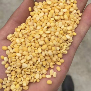 Nueva cosecha de moong dal indio (gramo verde) para exportación comercial a empresas y comerciantes internacionales de alimentos. - Product Image 4