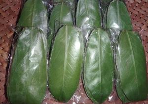 Hoja de Graviola de Alta Calidad para Mezclas de Té, Procesamiento de Bebidas Herbales y Mercados Mayoristas - Product Image 6