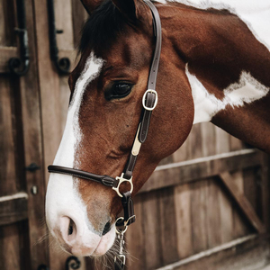 Premium Wholesale Popular Luxurious Elegant Perfect Adjustable Fashionable Padded Leather Horse <b>Halter</b> - Product Image 6