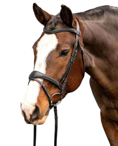 Premium Quality NIDA Brand Softy Leather Padding Horse Bridle Anatomic Jumping Equipment Solid S.S Buckle Model NIDA-JB25 for - Product Image 4