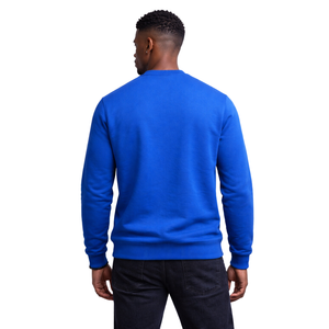 Sweat-shirt en chenille Phi Beta Sigma pour hommes, tissu de qualité supérieure, coupe confortable, vêtements de fraternité grecque, tenue décontractée - Product Image 2