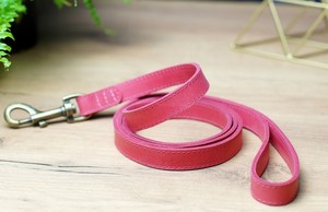 Correa para Perro Resistente de Primera Calidad - Product Image 2