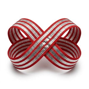 ริบบิ้นลายทางสีแดงเงินเมทัลลิกขนาด 25 มม. ของบริษัทนีลกามัล อินดัสทรีส์ ริบบิ้นตกแต่งลายซารีสำหรับห่อของขวัญและตกแต่งงานปาร์ตี้ - Product Image 2