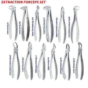 Dentavex Corporation High Quality Dental Extraction Forceps 10-Piece Kit Manual Ergonomic Grip Orthodontic Surgical Instruments - Product Image 5