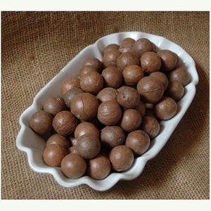 Alimentos Crudos Saludables, Bolsa de 5 kg de Núcleos de Macadamia Tostados y Secos, Nuez de Macadamia de Fábrica para Exportación - Product Image 3