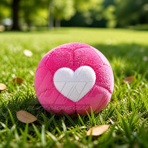 Sports Accessories Hot Sale <b>Hacky</b> <b>Sack</b> Ball Oem Service <b>Hacky</b> <b>Sack</b> Ball New Design <b>Hacky</b> <b>Sack</b> Ball - Product Image 5