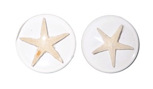 Starfish Real Specimen Plastic Cabochon Round 38x38 mm Clear Flat Bottom for Crafts and Jewelry Making - Product Image 2