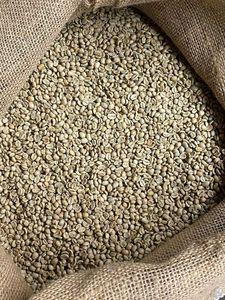 เมล็ดกาแฟอาราบิก้าดิบ ไม่ผ่านการคั่ว คุณภาพพิเศษ S18 แบบฟูลวอช 200 กก. MOQ โซนลา เวียดนาม บรรจุภัณฑ์แบบขายส่ง DHPONE กาแฟ 98% คุณภาพสูง - Product Image 6