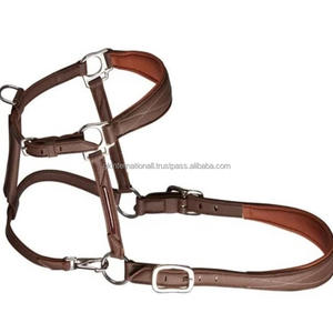 Licou de cheval en cuir rembourré cousu fantaisie haut de gamme avec muserolle de forme anatomique et matériel en laiton solide - Product Image 3