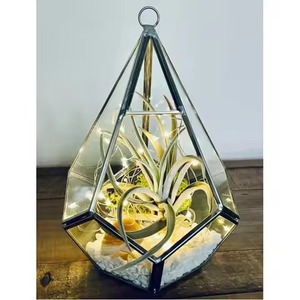 Unique Glass Metal Terrarium Planter Elegant Indoor Plant Display Box Geometric Home Accent - Product Image 2