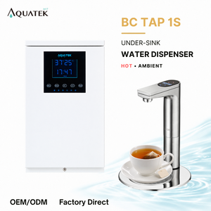 Distributeur d'eau à double température sous comptoir BC TAP 1S avec robinet tactile en acier inoxydable 304 – Fabricant de confiance - Product Image 1