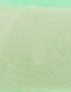 Sari de organza verde KV con tonos degradados - Product Image 4