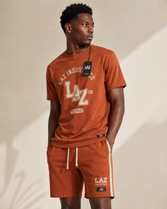 LAZ INDUSTRIES Men's Beige T-Shirt Brown Shorts Set Crew Neck Printed Knitted Breathable Cotton Summer Casual Wear Wholesale - Product Image 5