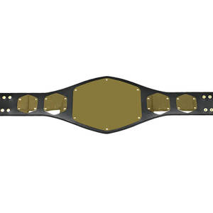 เข็มขัดแชมป์ปี 2026 สไตล์โมเดิร์น หนังน้ำหนักเบา สายปรับได้ ปรับแต่งได้สำหรับงานศิลปะการต่อสู้ - Product Image 1